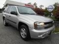 Silverstone Metallic - TrailBlazer LS 4x4 Photo No. 1