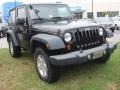 Black - Wrangler Sport 4x4 Photo No. 8