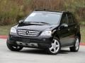 Black - ML 350 4Matic Photo No. 2