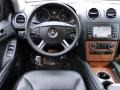Black - ML 350 4Matic Photo No. 12