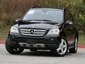 Black - ML 350 4Matic Photo No. 28