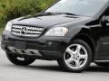 Black - ML 350 4Matic Photo No. 30