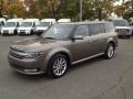 2013 Mineral Gray Metallic Ford Flex Limited AWD  photo #3