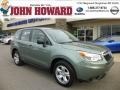 Jasmin Green Metallic 2014 Subaru Forester 2.5i