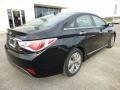 2013 Black Onyx Pearl Hyundai Sonata Hybrid Limited  photo #7