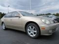 Burnished Gold Metallic - GS 300 Photo No. 4