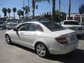 Arctic White - C 300 Luxury Photo No. 4