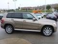 2010 Sand Beige Metallic Mercedes-Benz GLK 350 4Matic  photo #6