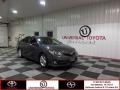 Magnetic Gray Metallic - Camry SE Photo No. 1