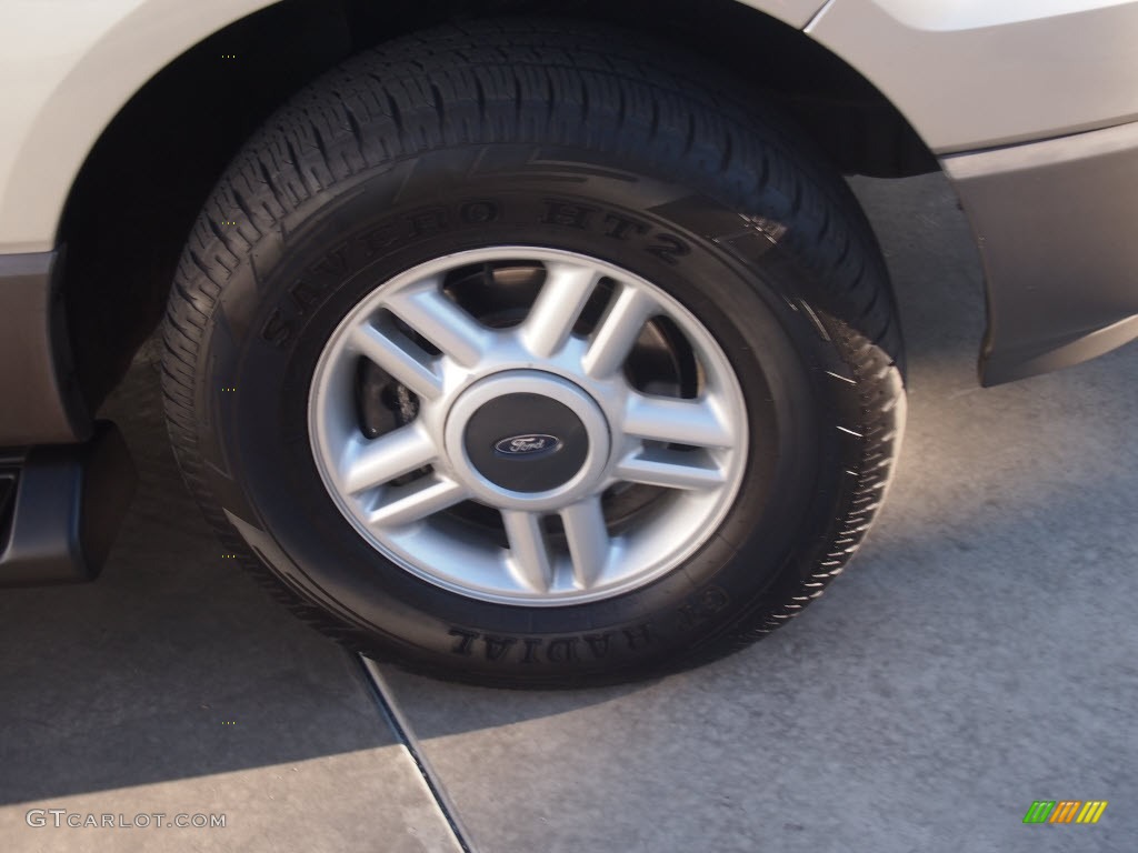 2003 Expedition XLT - Silver Birch Metallic / Flint Grey photo #2