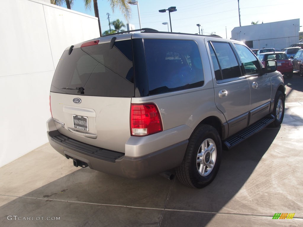 2003 Expedition XLT - Silver Birch Metallic / Flint Grey photo #9