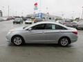 Radiant Silver - Sonata GLS Photo No. 6