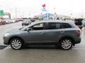 2010 Dolphin Gray Mica Mazda CX-9 Grand Touring AWD  photo #7