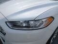 White Platinum - Fusion SE EcoBoost Photo No. 9