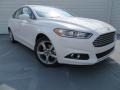 White Platinum - Fusion SE EcoBoost Photo No. 1