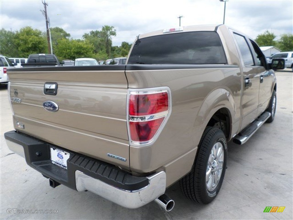 2013 F150 XLT SuperCrew - Pale Adobe Metallic / Adobe photo #5