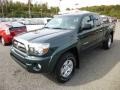2010 Timberland Mica Toyota Tacoma V6 TRD Access Cab 4x4  photo #3
