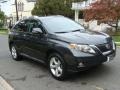 2010 Smokey Granite Mica Lexus RX 350 AWD  photo #3
