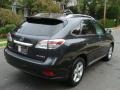 2010 Smokey Granite Mica Lexus RX 350 AWD  photo #4