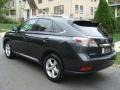 2010 Smokey Granite Mica Lexus RX 350 AWD  photo #6