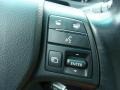 2010 Smokey Granite Mica Lexus RX 350 AWD  photo #15