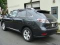 2010 Obsidian Black Lexus RX 350 AWD  photo #6
