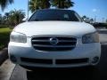 Glacier White Pearl - Maxima SE Photo No. 3