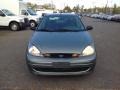 Light Tundra Metallic - Focus SE Sedan Photo No. 2
