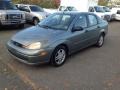 Light Tundra Metallic - Focus SE Sedan Photo No. 3