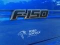 2013 Blue Flame Metallic Ford F150 SVT Raptor SuperCrew 4x4  photo #5