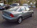 Light Tundra Metallic - Focus SE Sedan Photo No. 7