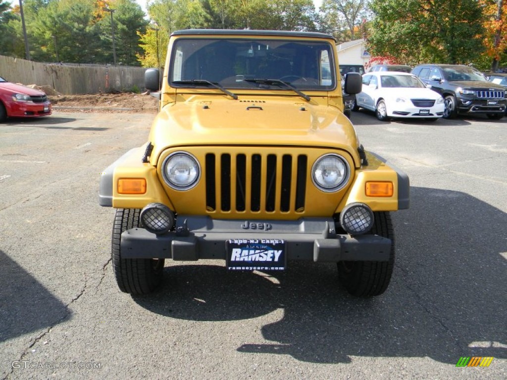 2003 Wrangler Sport 4x4 - Inca Gold Metallic / Dark Slate Gray photo #2