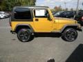 Inca Gold Metallic 2003 Jeep Wrangler Sport 4x4 Exterior