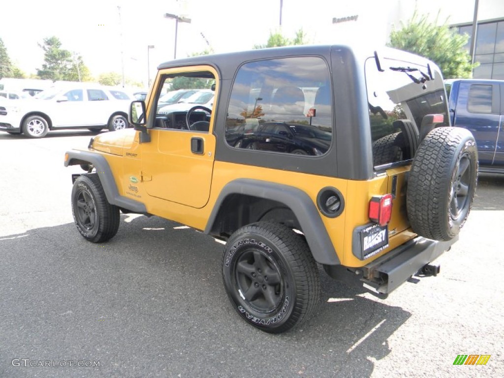2003 Wrangler Sport 4x4 - Inca Gold Metallic / Dark Slate Gray photo #9