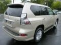  2014 GX 460 Satin Cashmere Metallic