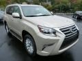 Front 3/4 View of 2014 GX 460