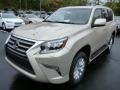 Front 3/4 View of 2014 GX 460
