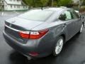Nebula Gray Pearl - ES 350 Photo No. 4