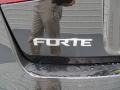 2013 Aurora Black Pearl Kia Forte EX  photo #21