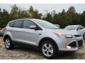 2014 Ingot Silver Ford Escape SE 1.6L EcoBoost  photo #1