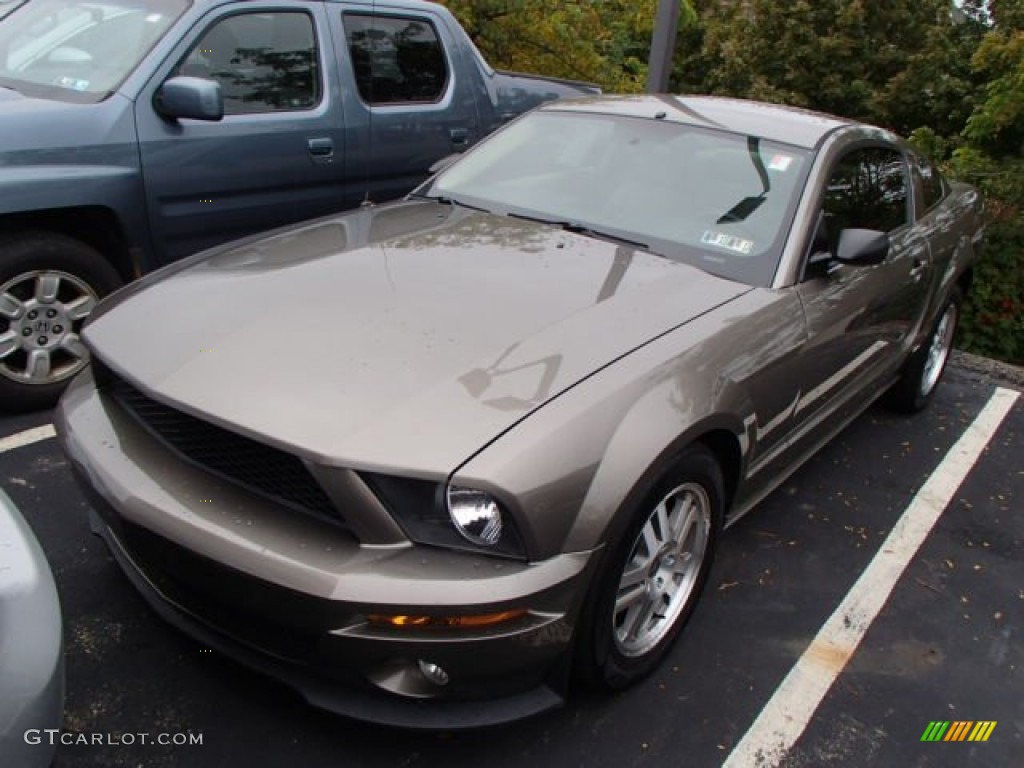 2005 Mustang GT Deluxe Coupe - Mineral Grey Metallic / Medium Parchment photo #3