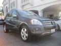 Steel Grey Metallic - ML 350 Photo No. 1