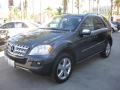 Steel Grey Metallic - ML 350 Photo No. 5