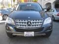 Steel Grey Metallic - ML 350 Photo No. 6