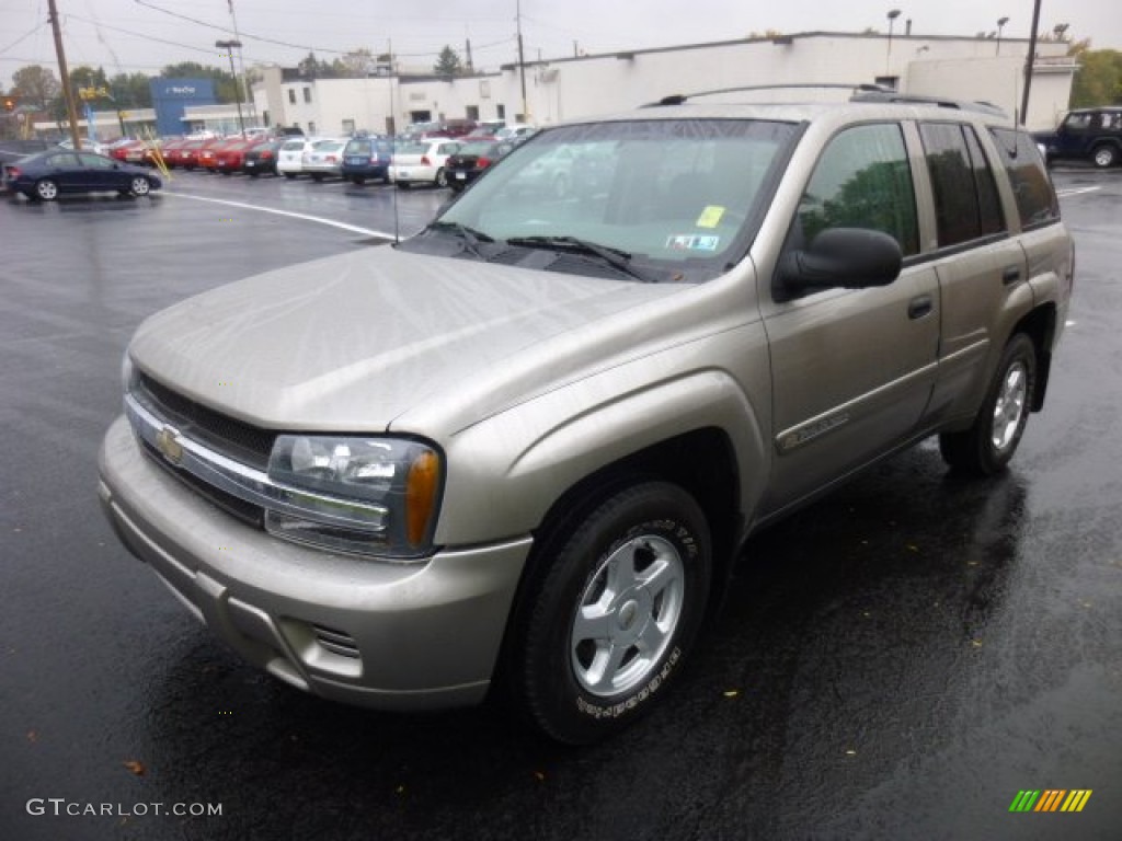 2002 TrailBlazer LS 4x4 - Light Pewter Metallic / Light Pewter photo #3