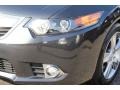 Graphite Luster Pearl - TSX Sedan Photo No. 30