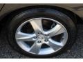 Graphite Luster Pearl - TSX Sedan Photo No. 32