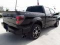 Tuxedo Black Metallic - F150 Harley-Davidson SuperCrew 4x4 Photo No. 8