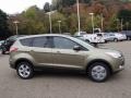 2014 Ginger Ale Ford Escape SE 1.6L EcoBoost 4WD  photo #1