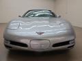 Light Pewter Metallic - Corvette Coupe Photo No. 3